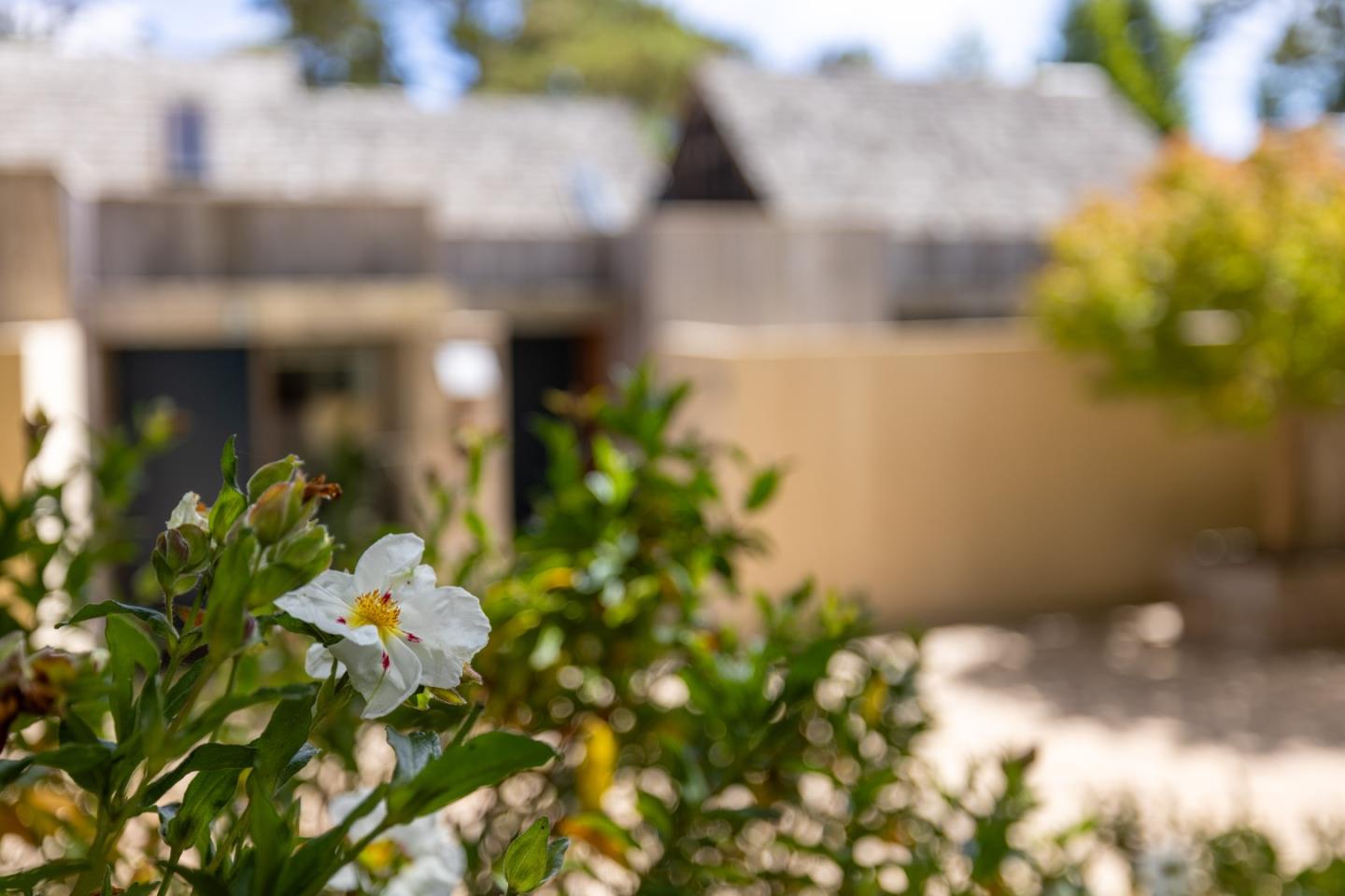 Detail Gallery Image 43 of 46 For 24520 Outlook Dr #8,  Carmel,  CA 93923 - 3 Beds | 2 Baths