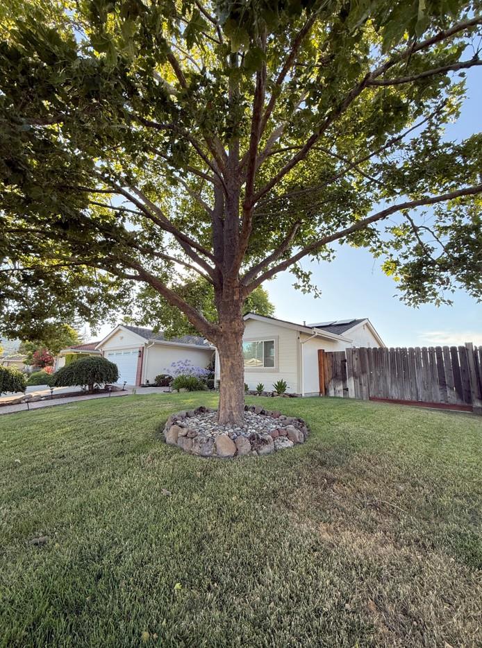 Detail Gallery Image 3 of 21 For 3179 Christopher Way, San Ramon,  CA 94583 - 4 Beds | 2 Baths