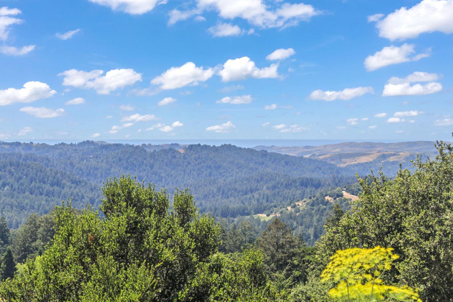 Detail Gallery Image 40 of 46 For 7405 Alpine Rd, La Honda,  CA 94020 - 4 Beds | 2/1 Baths