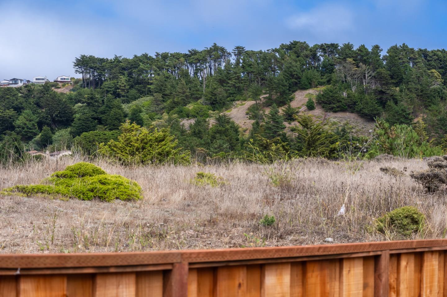 Detail Gallery Image 49 of 54 For 373 Coral Ridge Dr, Pacifica,  CA 94044 - 4 Beds | 3 Baths