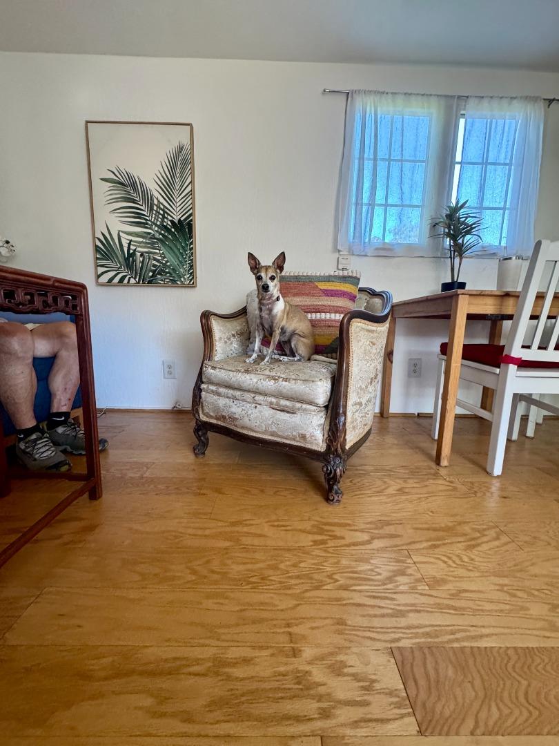 Detail Gallery Image 3 of 23 For 2120 N Pacific Ave #53,  Santa Cruz,  CA 95060 - 1 Beds | 1 Baths