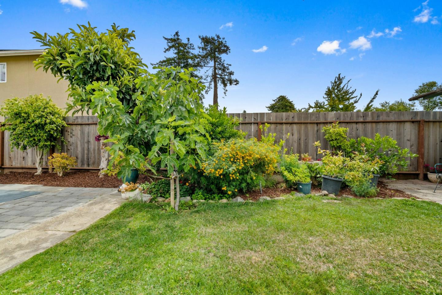 Detail Gallery Image 29 of 35 For 70 College Rd, Watsonville,  CA 95076 - 3 Beds | 2 Baths