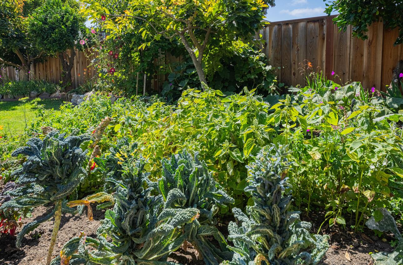 Detail Gallery Image 37 of 43 For 624 Hartnell St, Salinas,  CA 93901 - 4 Beds | 2 Baths