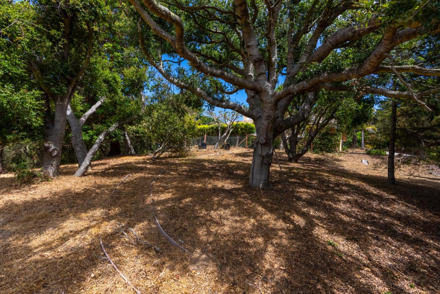 Detail Gallery Image 55 of 61 For 388 Aptos Ridge Cir, Watsonville,  CA 95076 - 4 Beds | 3/1 Baths