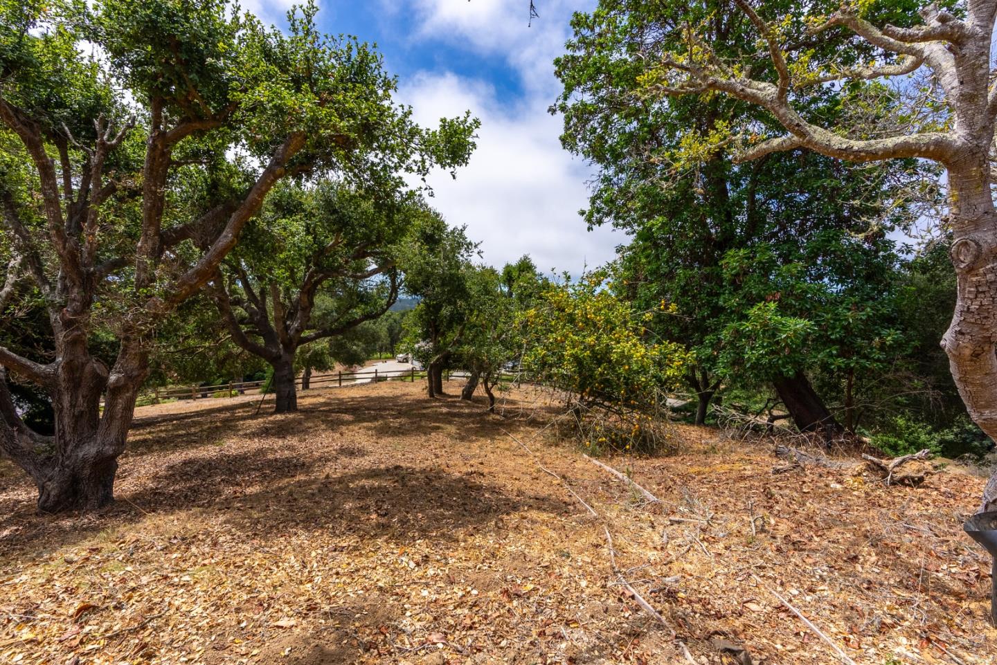 Detail Gallery Image 56 of 61 For 388 Aptos Ridge Cir, Watsonville,  CA 95076 - 4 Beds | 3/1 Baths