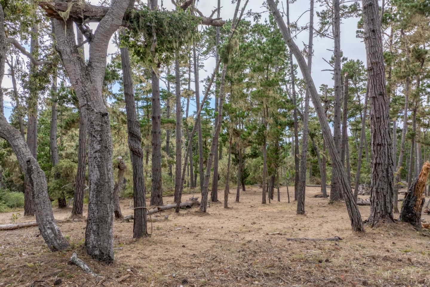 Detail Gallery Image 5 of 11 For 1070 Spyglass Woods Dr, Pebble Beach,  CA 93953 - – Beds | – Baths