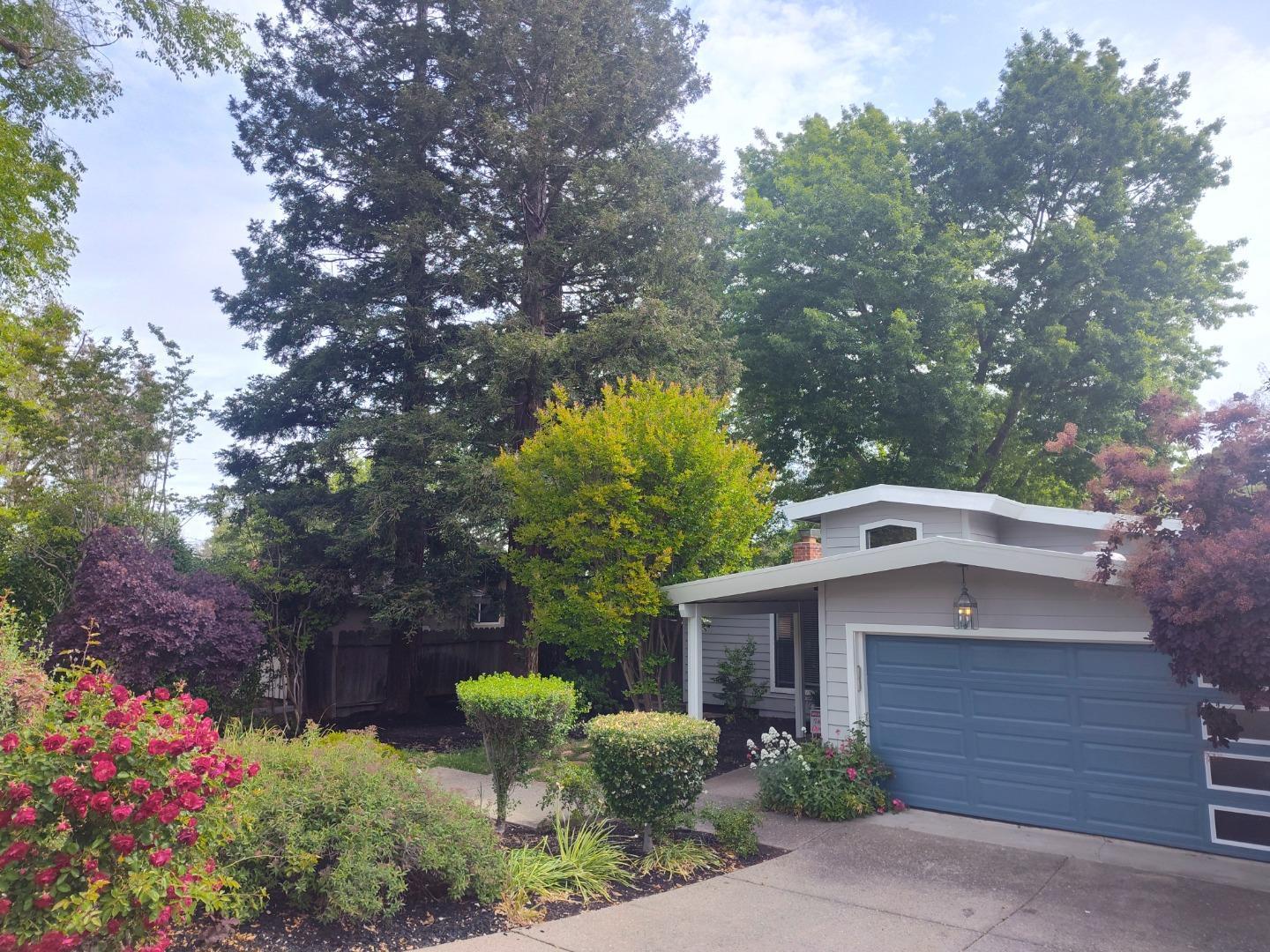 Detail Gallery Image 3 of 36 For 136 Lorie Ct, Walnut Creek,  CA 94597 - 4 Beds | 3 Baths