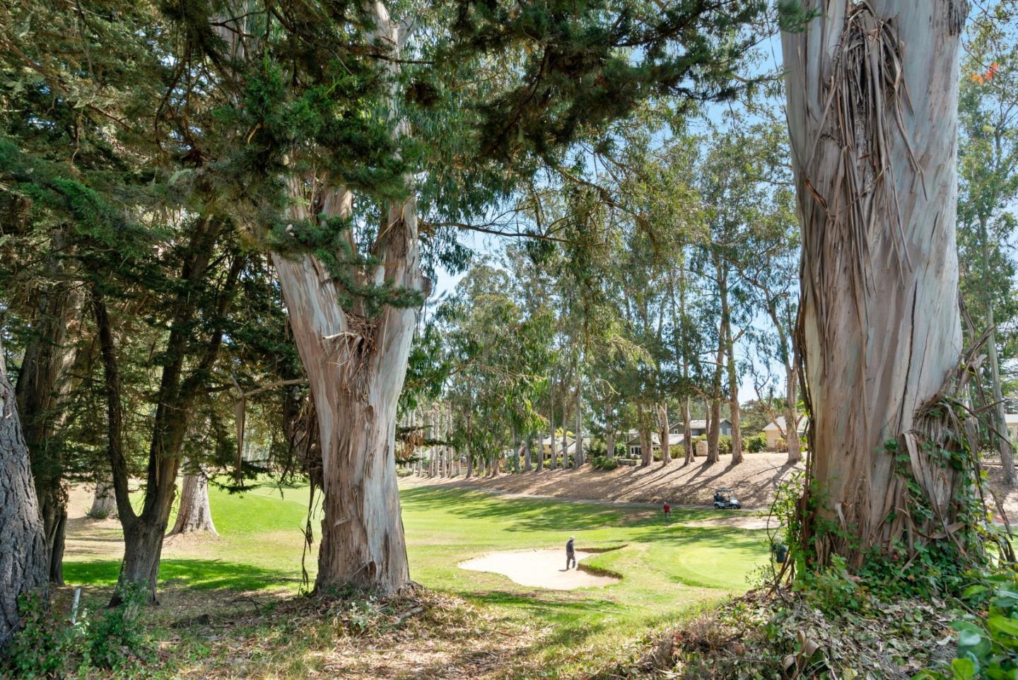Detail Gallery Image 64 of 67 For 405 Dorsey Ave, Aptos,  CA 95003 - 3 Beds | 2 Baths