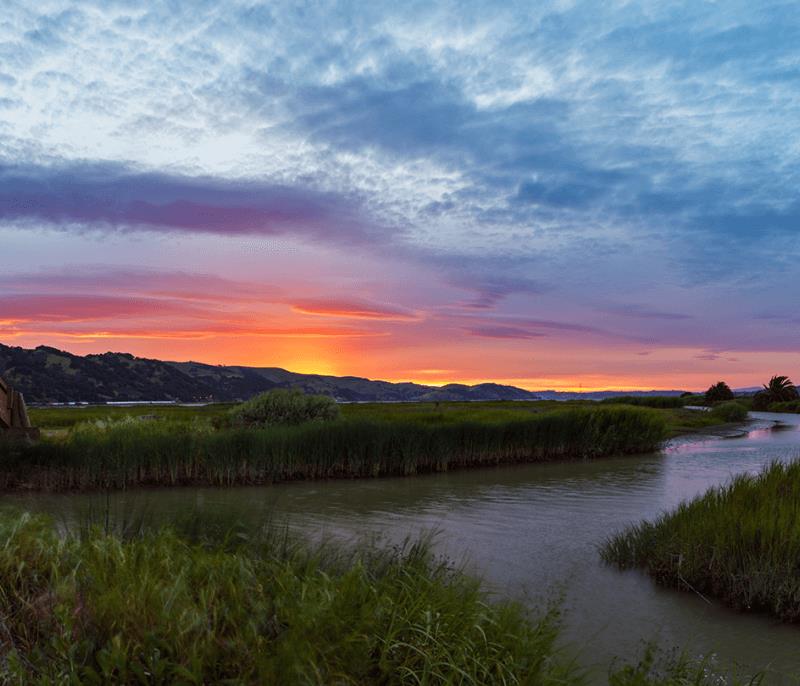 Detail Gallery Image 29 of 38 For 905 Tierney Pl, Martinez,  CA 94553 - 3 Beds | 2/1 Baths
