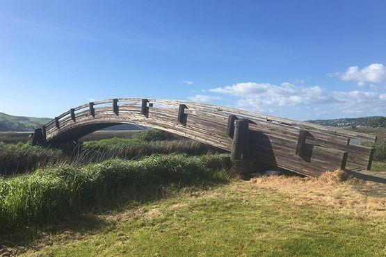 Detail Gallery Image 38 of 38 For 905 Tierney Pl, Martinez,  CA 94553 - 3 Beds | 2/1 Baths