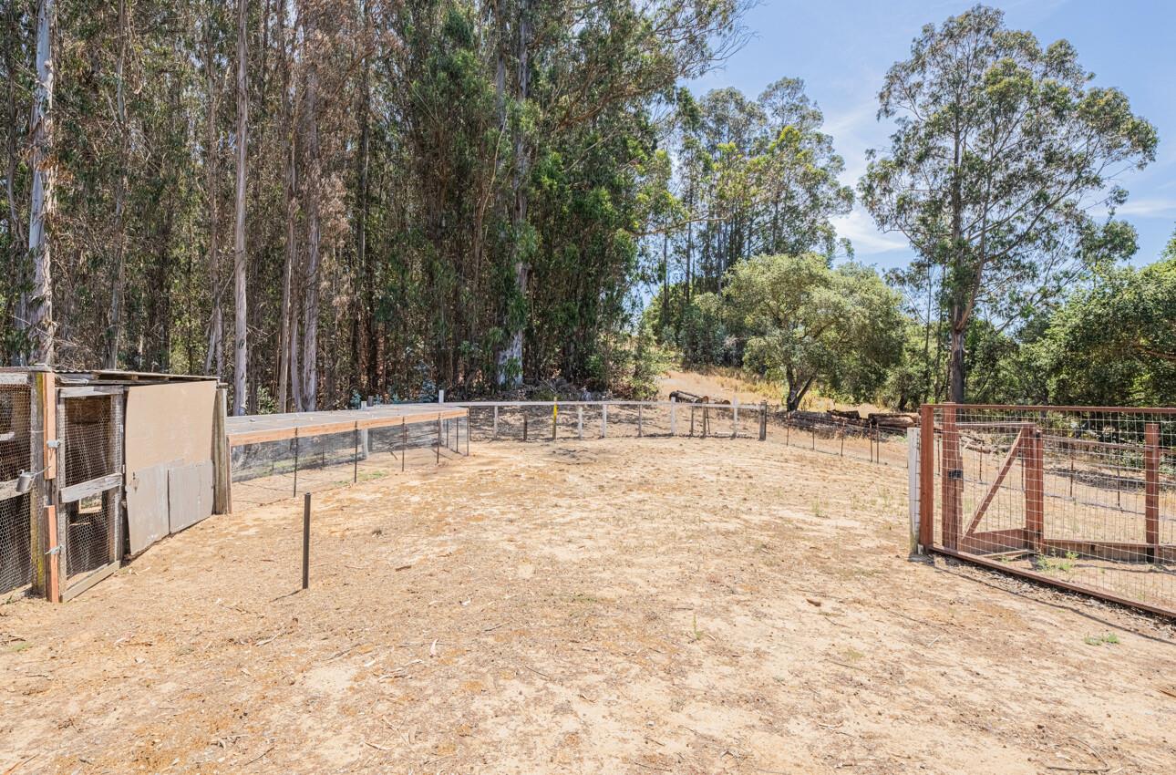 Detail Gallery Image 65 of 70 For 158 Echo Valley Rd, Prunedale,  CA 93907 - 4 Beds | 2/1 Baths