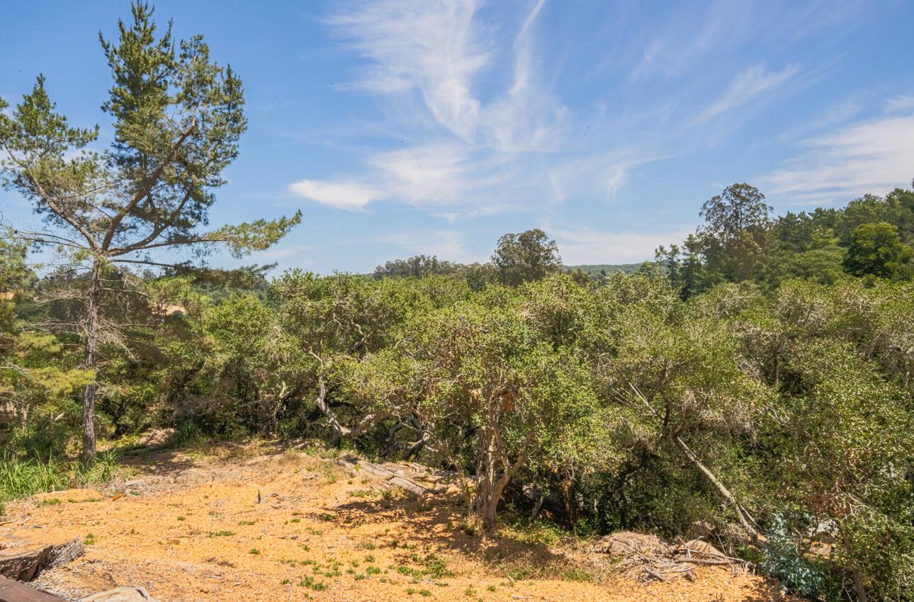 Detail Gallery Image 67 of 70 For 158 Echo Valley Rd, Prunedale,  CA 93907 - 4 Beds | 2/1 Baths