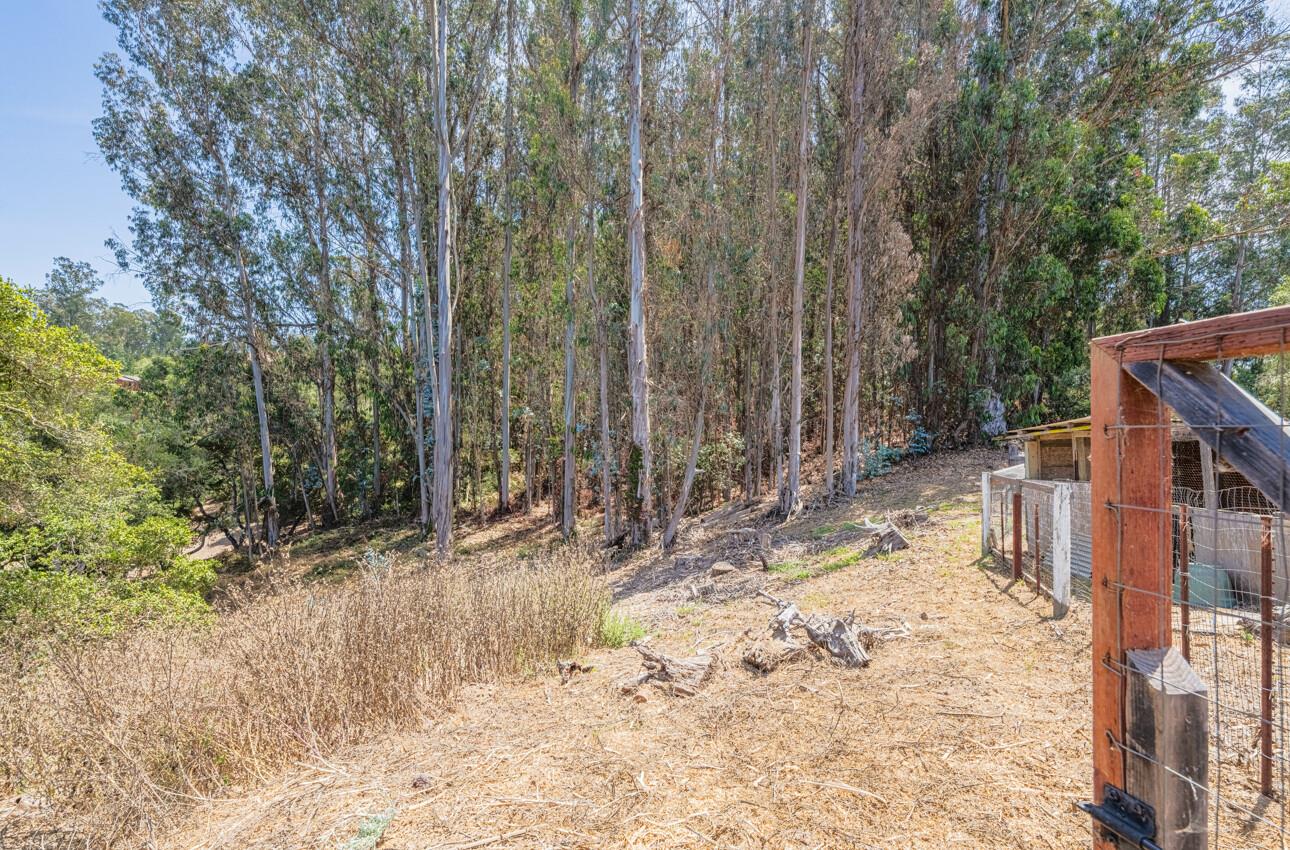 Detail Gallery Image 68 of 70 For 158 Echo Valley Rd, Prunedale,  CA 93907 - 4 Beds | 2/1 Baths