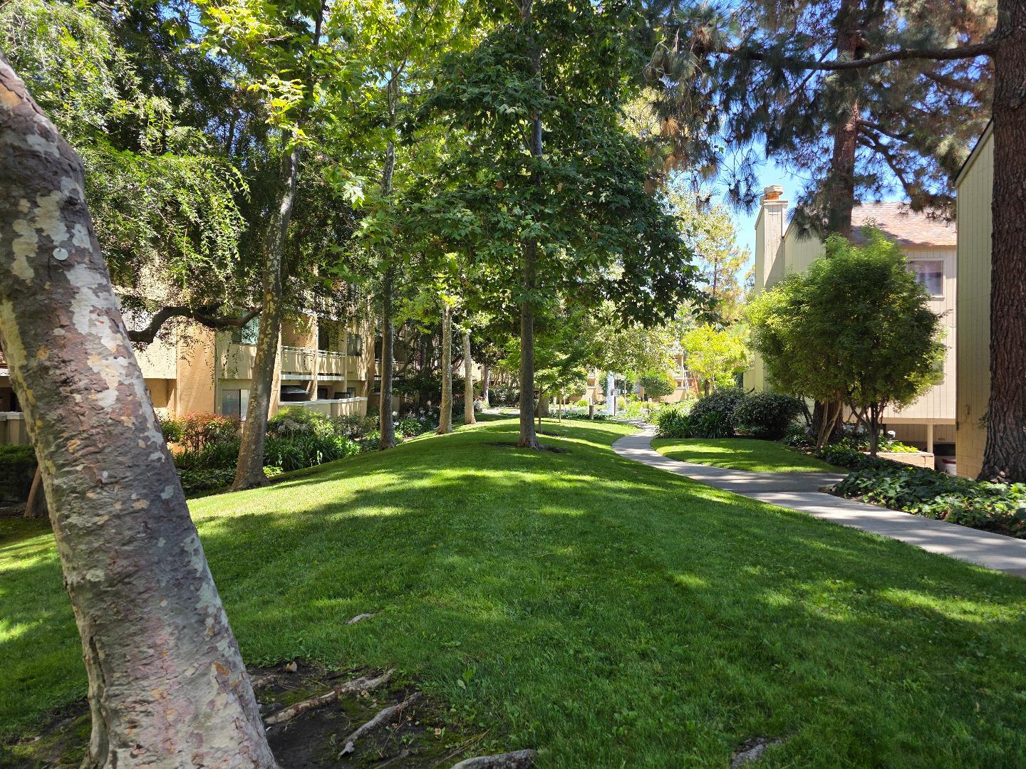 Detail Gallery Image 14 of 17 For 980 Kiely Blvd #124,  Santa Clara,  CA 95051 - 1 Beds | 1 Baths
