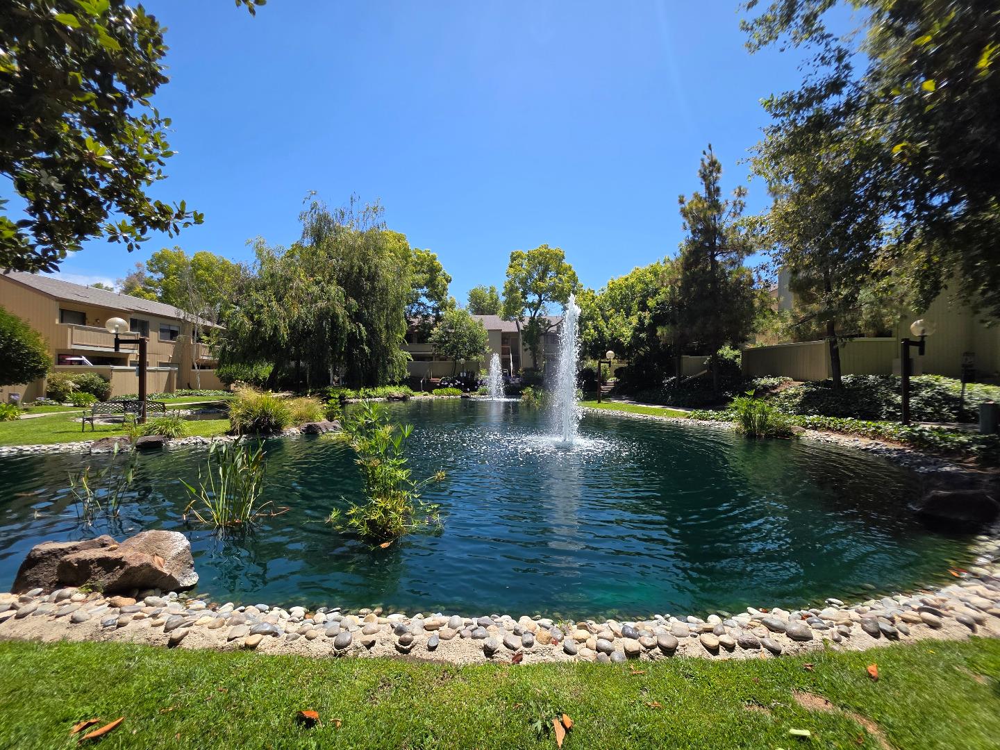 Detail Gallery Image 15 of 17 For 980 Kiely Blvd #124,  Santa Clara,  CA 95051 - 1 Beds | 1 Baths