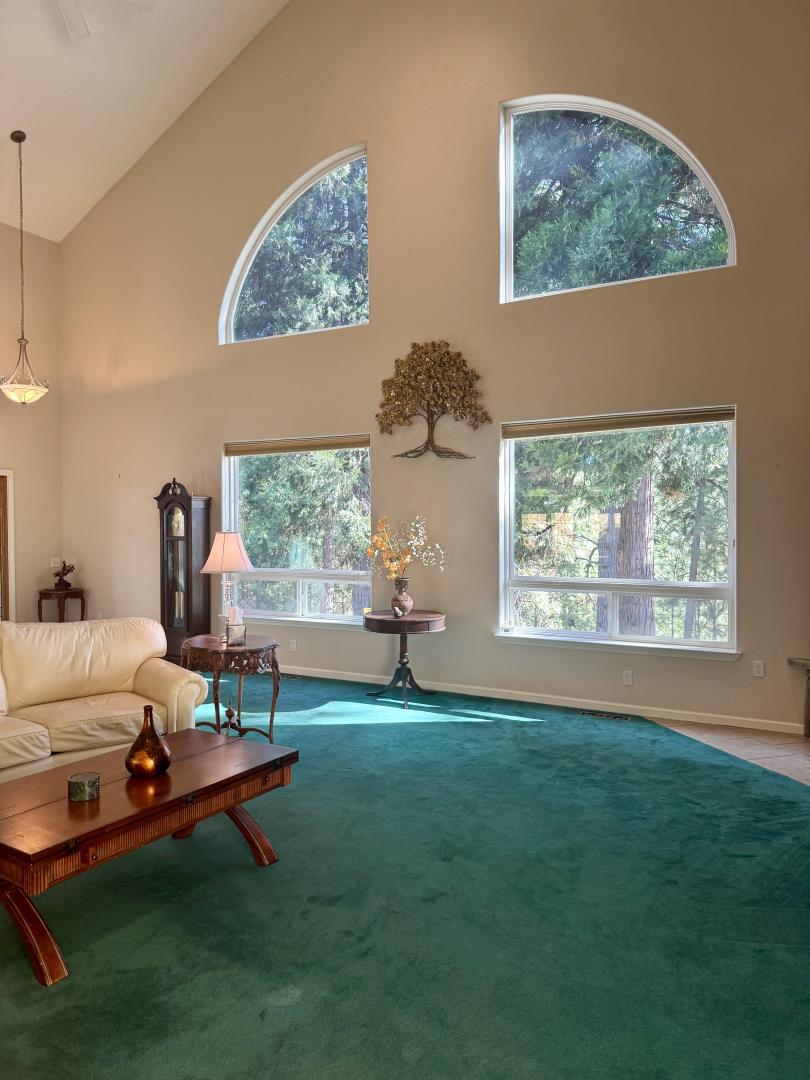 Detail Gallery Image 13 of 56 For 27645 E Inspiration Dr, Pioneer,  CA 95666 - 3 Beds | 3 Baths
