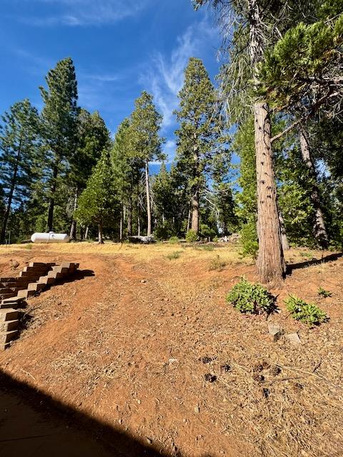 Detail Gallery Image 56 of 56 For 27645 E Inspiration Dr, Pioneer,  CA 95666 - 3 Beds | 3 Baths