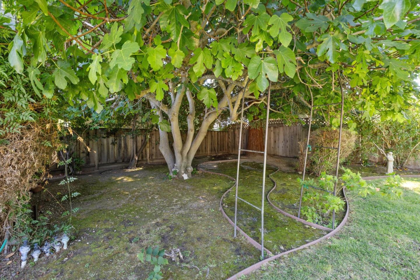 Detail Gallery Image 46 of 50 For 1050 Boranda Ave, Mountain View,  CA 94040 - 4 Beds | 2 Baths