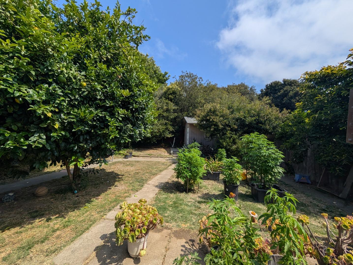 Detail Gallery Image 8 of 12 For 1477 Folsom Ave, San Pablo,  CA 94806 - 3 Beds | 1/1 Baths