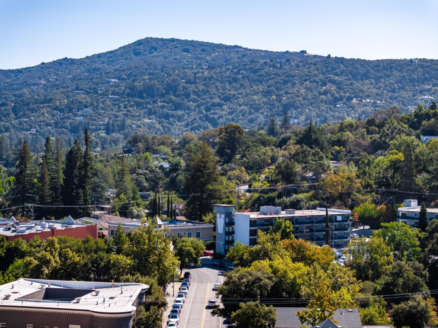 Detail Gallery Image 24 of 28 For 256 Los Gatos Blvd, Los Gatos,  CA 95030 - – Beds | – Baths