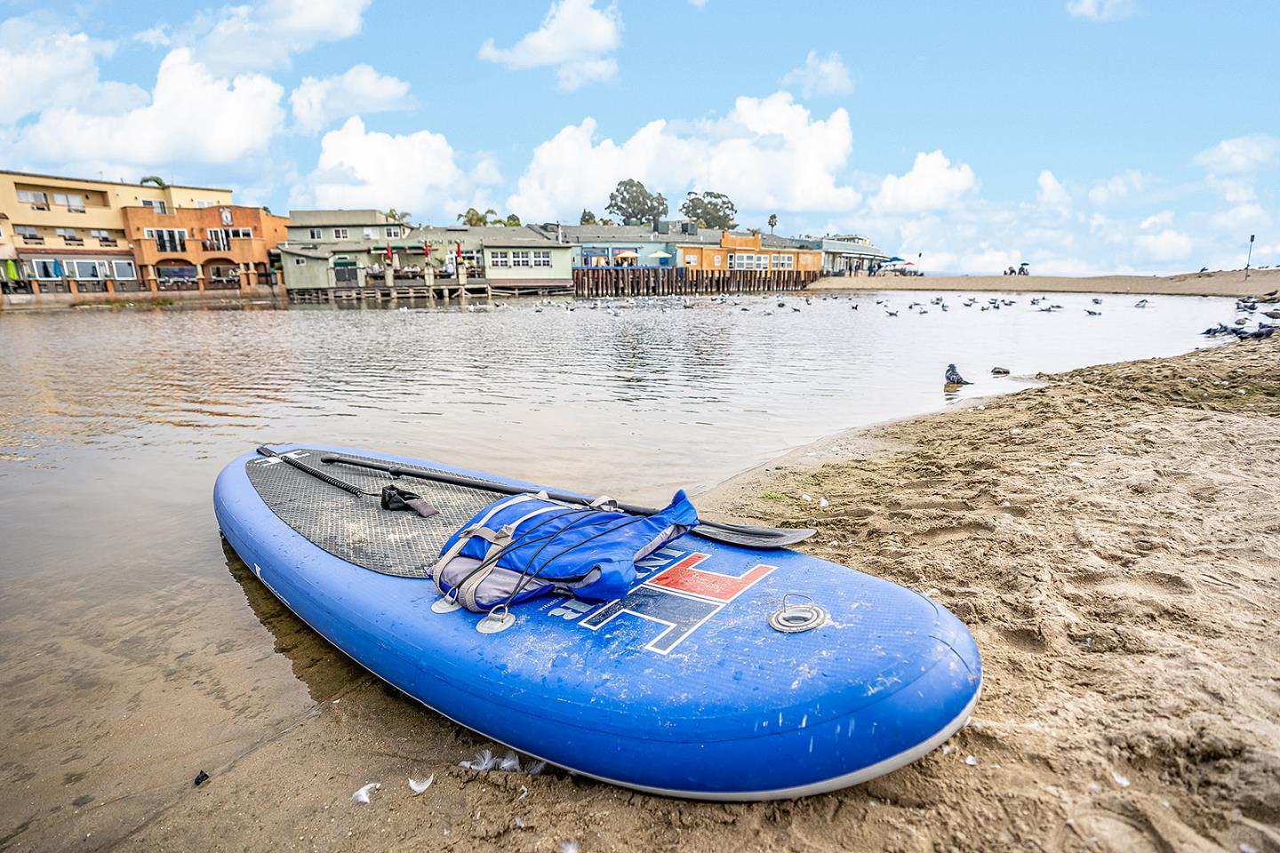 Detail Gallery Image 24 of 29 For 1133 Callas Ln #2,  Capitola,  CA 95010 - 2 Beds | 1 Baths