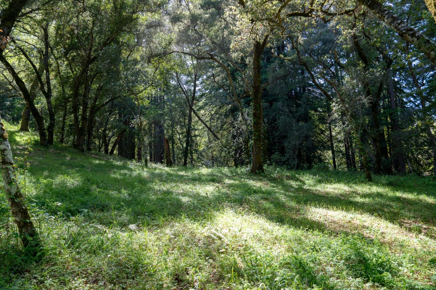 Detail Gallery Image 10 of 12 For 35000 Robinson Canyon Rd, Carmel Valley,  CA 93923 - – Beds | – Baths