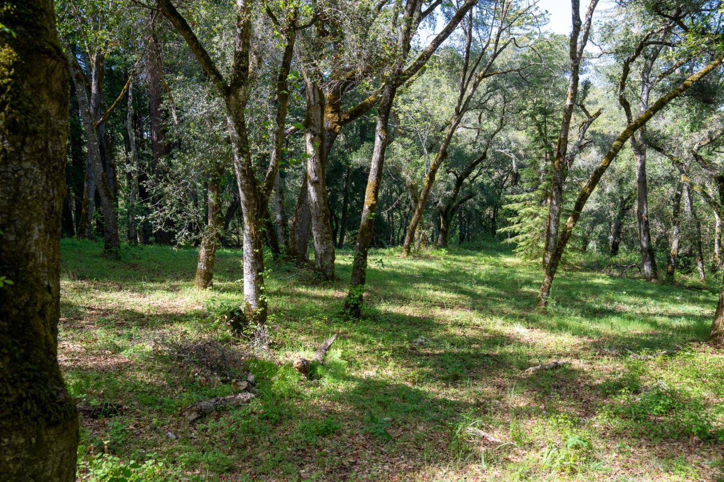 Detail Gallery Image 11 of 12 For 35000 Robinson Canyon Rd, Carmel Valley,  CA 93923 - – Beds | – Baths