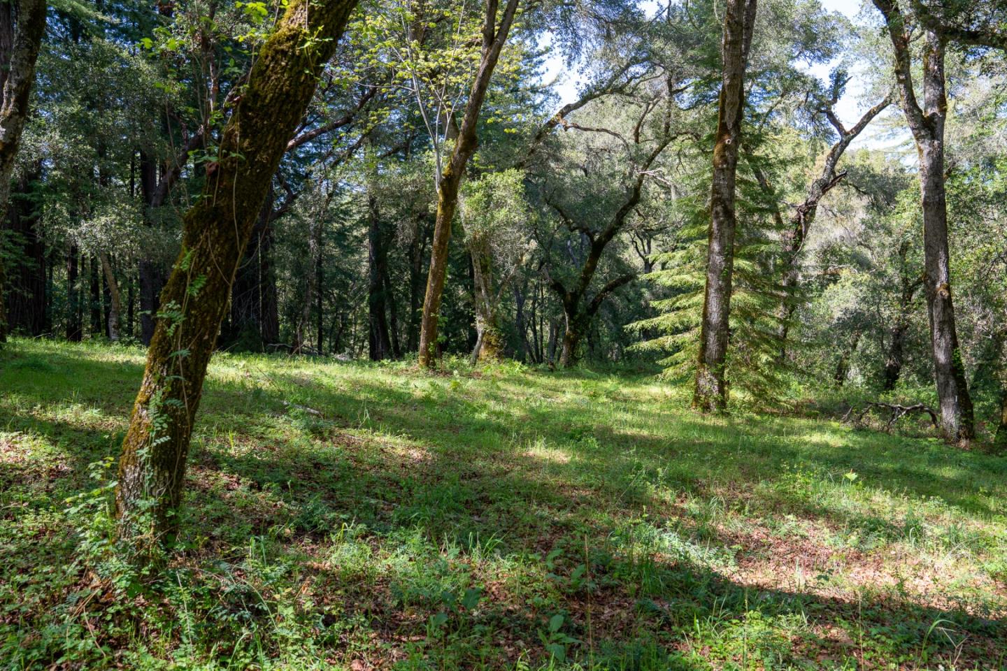 Detail Gallery Image 12 of 12 For 35000 Robinson Canyon Rd, Carmel Valley,  CA 93923 - – Beds | – Baths