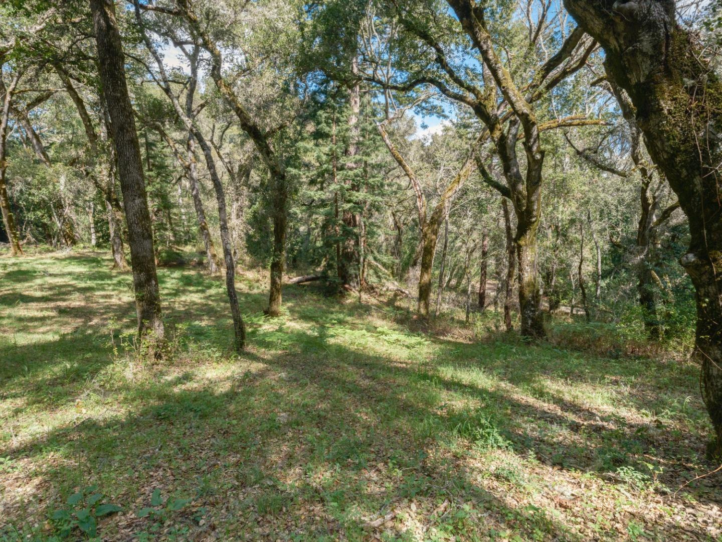 Detail Gallery Image 3 of 12 For 35000 Robinson Canyon Rd, Carmel Valley,  CA 93923 - – Beds | – Baths