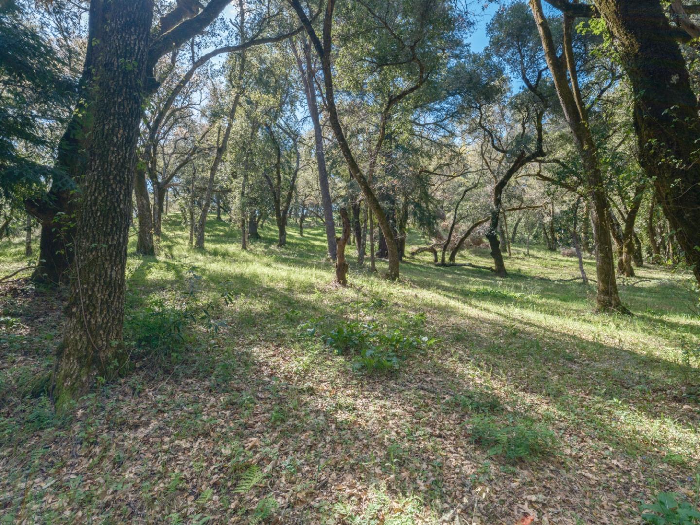 Detail Gallery Image 4 of 12 For 35000 Robinson Canyon Rd, Carmel Valley,  CA 93923 - – Beds | – Baths