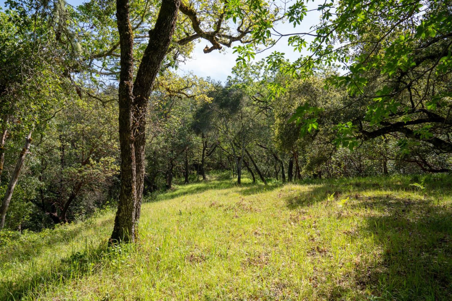 Detail Gallery Image 5 of 12 For 35000 Robinson Canyon Rd, Carmel Valley,  CA 93923 - – Beds | – Baths