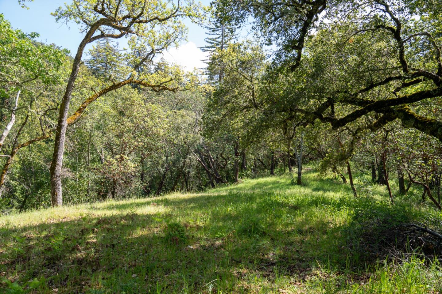 Detail Gallery Image 6 of 12 For 35000 Robinson Canyon Rd, Carmel Valley,  CA 93923 - – Beds | – Baths