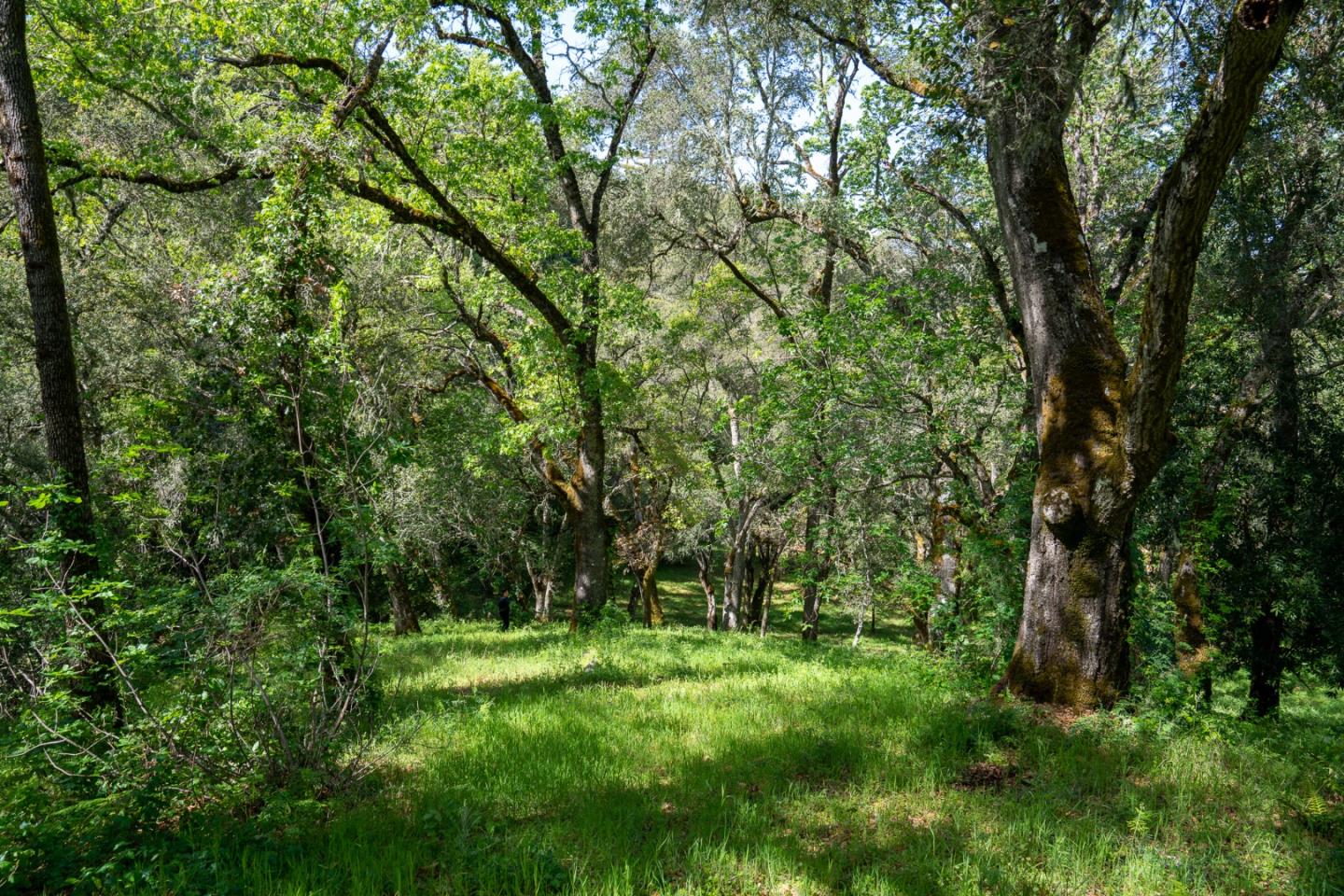 Detail Gallery Image 7 of 12 For 35000 Robinson Canyon Rd, Carmel Valley,  CA 93923 - – Beds | – Baths