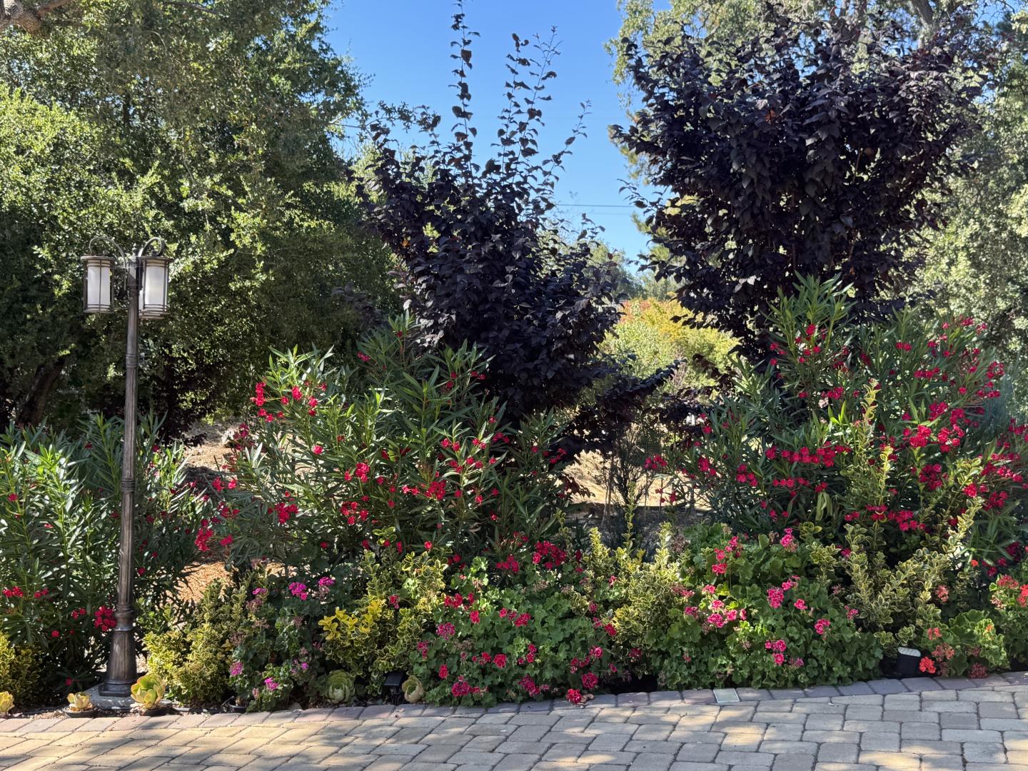 Detail Gallery Image 17 of 62 For 13605 Surrey Ln, Saratoga,  CA 95070 - 5 Beds | 6 Baths