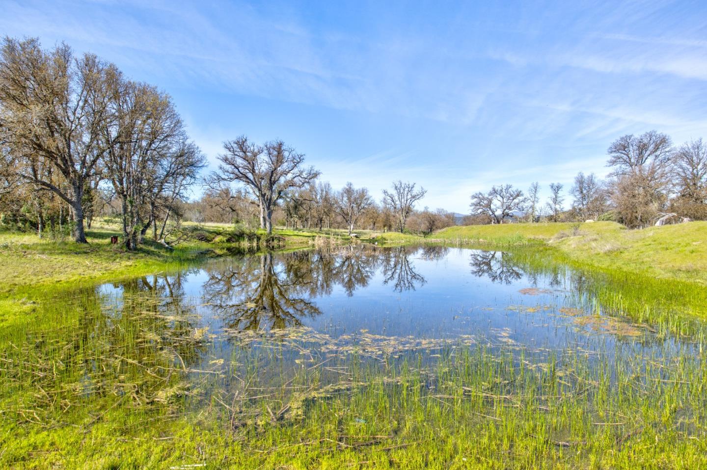 Detail Gallery Image 33 of 41 For 44500 San Antonio Valley Rd, San Jose,  CA 95140 - 2 Beds | 1 Baths