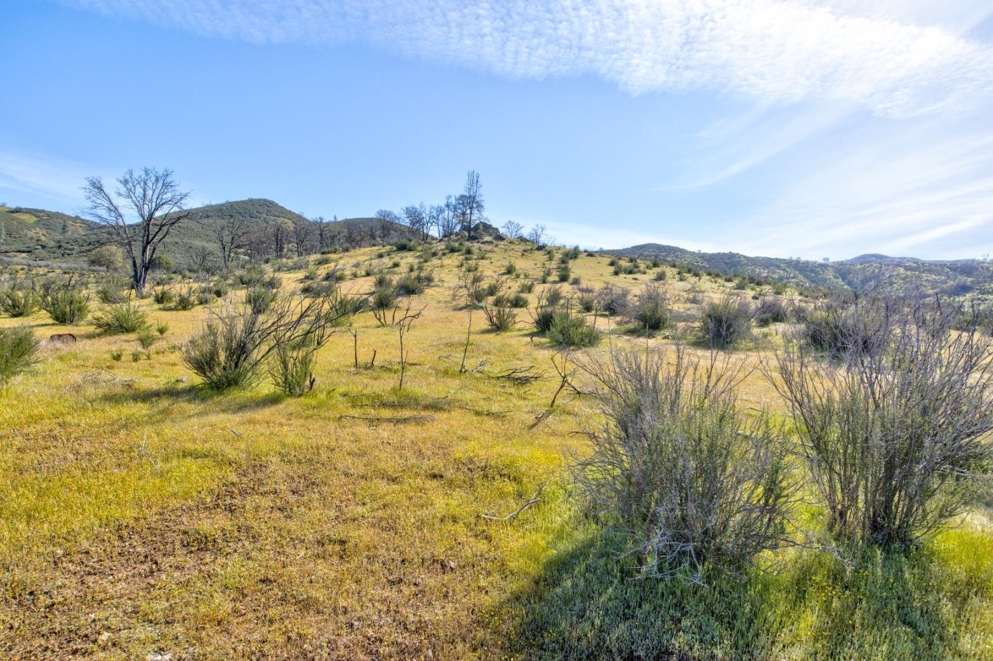 Detail Gallery Image 34 of 41 For 44500 San Antonio Valley Rd, San Jose,  CA 95140 - 2 Beds | 1 Baths