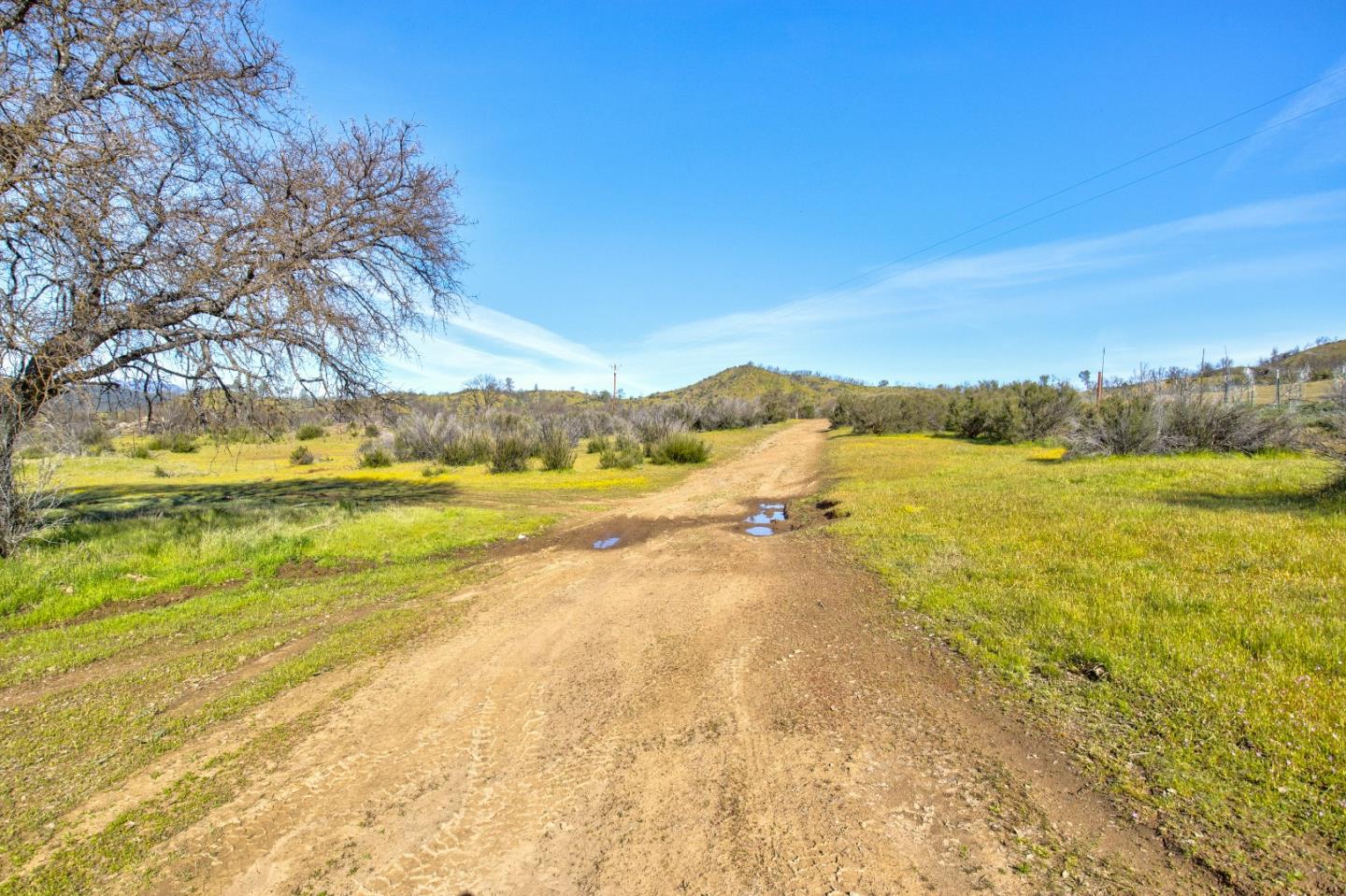 Detail Gallery Image 40 of 41 For 44500 San Antonio Valley Rd, San Jose,  CA 95140 - 2 Beds | 1 Baths