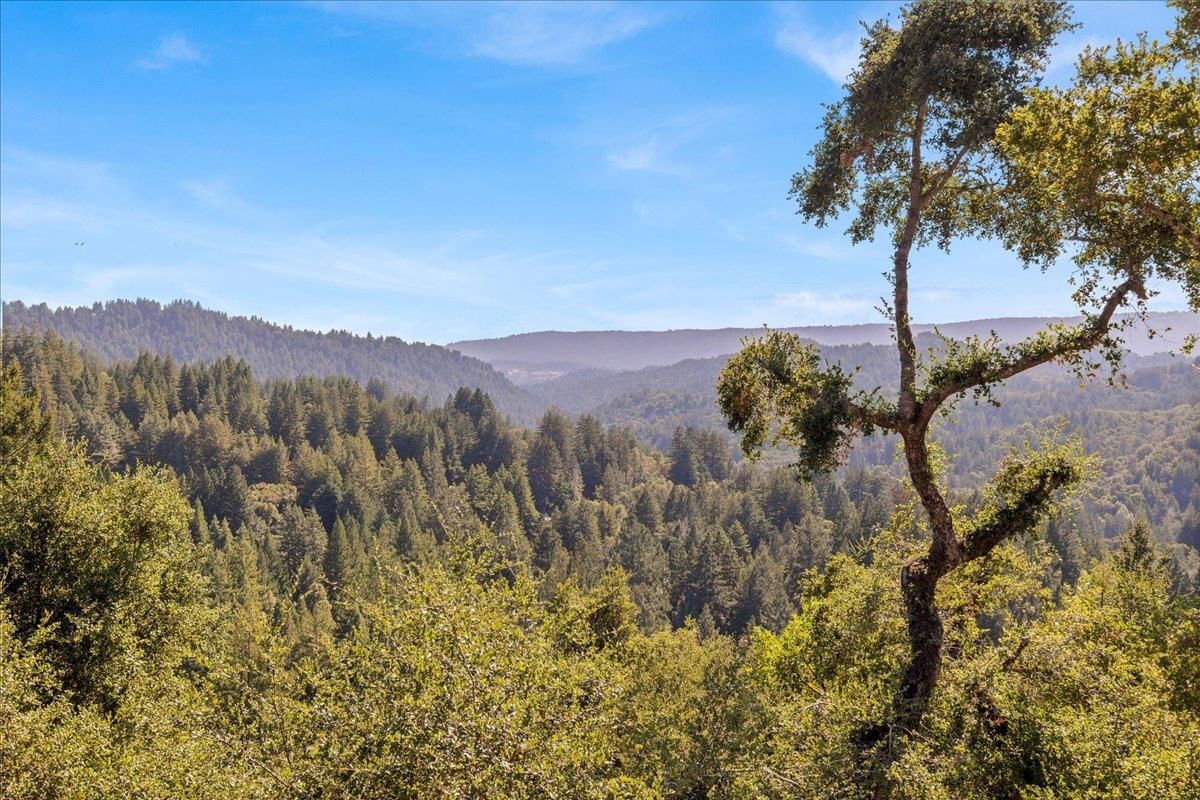 Detail Gallery Image 13 of 29 For 25435 Hutchinson Rd, Los Gatos,  CA 95033 - 4 Beds | 2/1 Baths