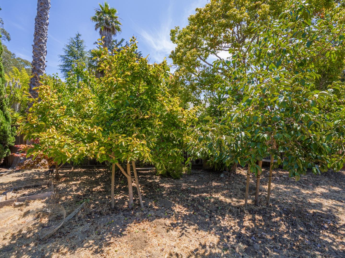 Detail Gallery Image 17 of 26 For 0 High St, Santa Cruz,  CA 95060 - – Beds | – Baths