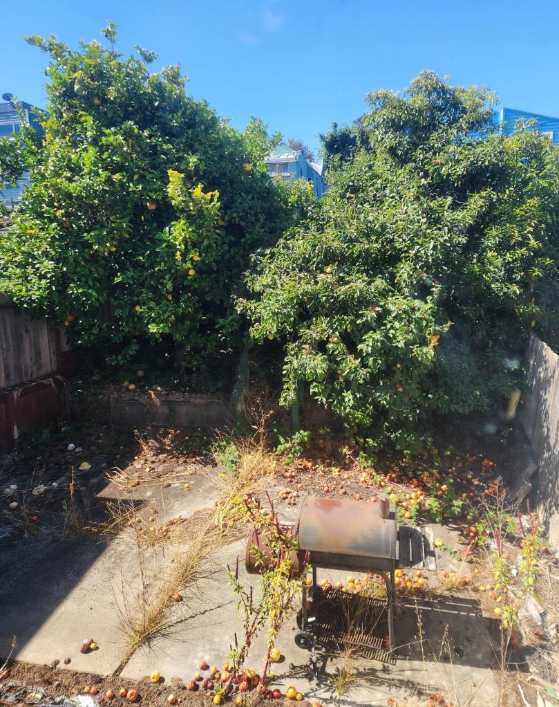 Detail Gallery Image 8 of 8 For 2147 Quesada Ave, San Francisco,  CA 94122 - 3 Beds | 1/1 Baths