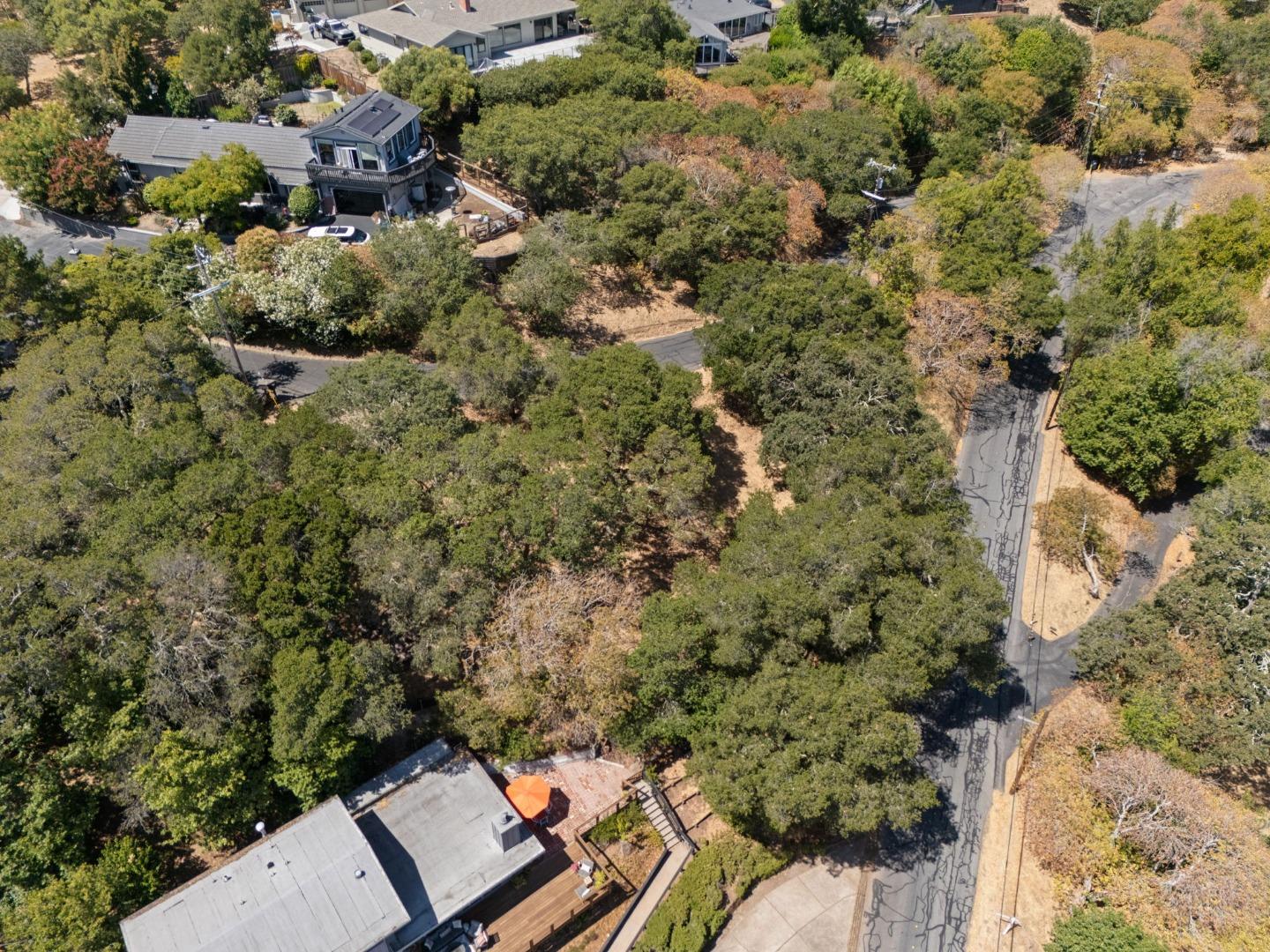 Detail Gallery Image 16 of 16 For 00 S Palomar Dr, Redwood City,  CA 94062 - – Beds | – Baths