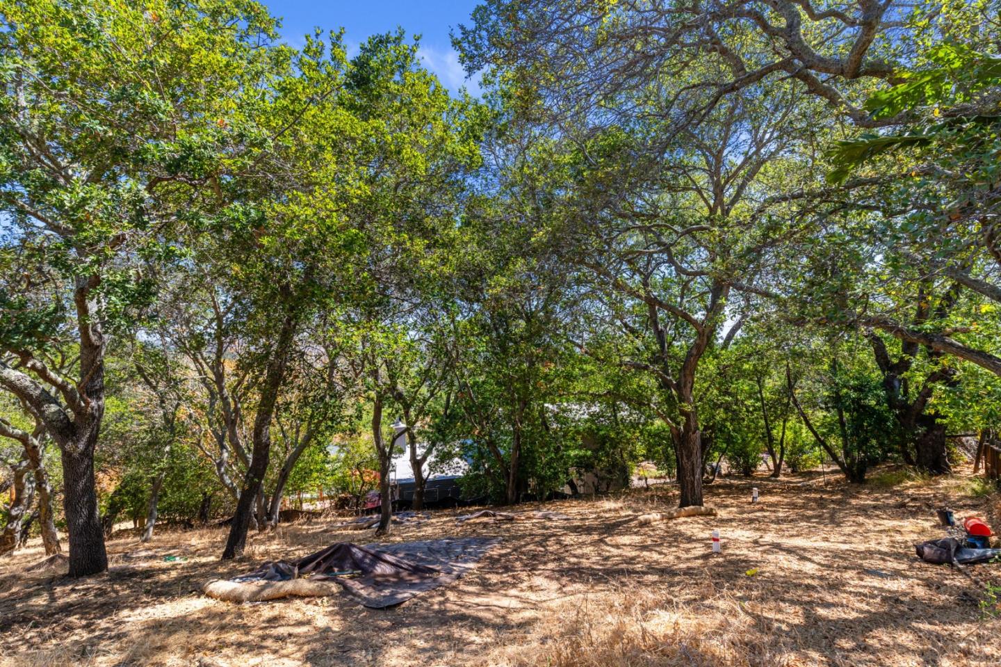 Detail Gallery Image 5 of 16 For 00 S Palomar Dr, Redwood City,  CA 94062 - – Beds | – Baths