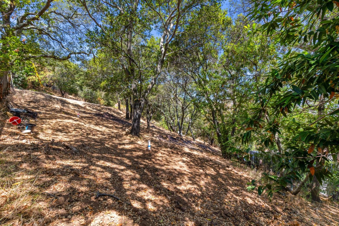 Detail Gallery Image 6 of 16 For 00 S Palomar Dr, Redwood City,  CA 94062 - – Beds | – Baths