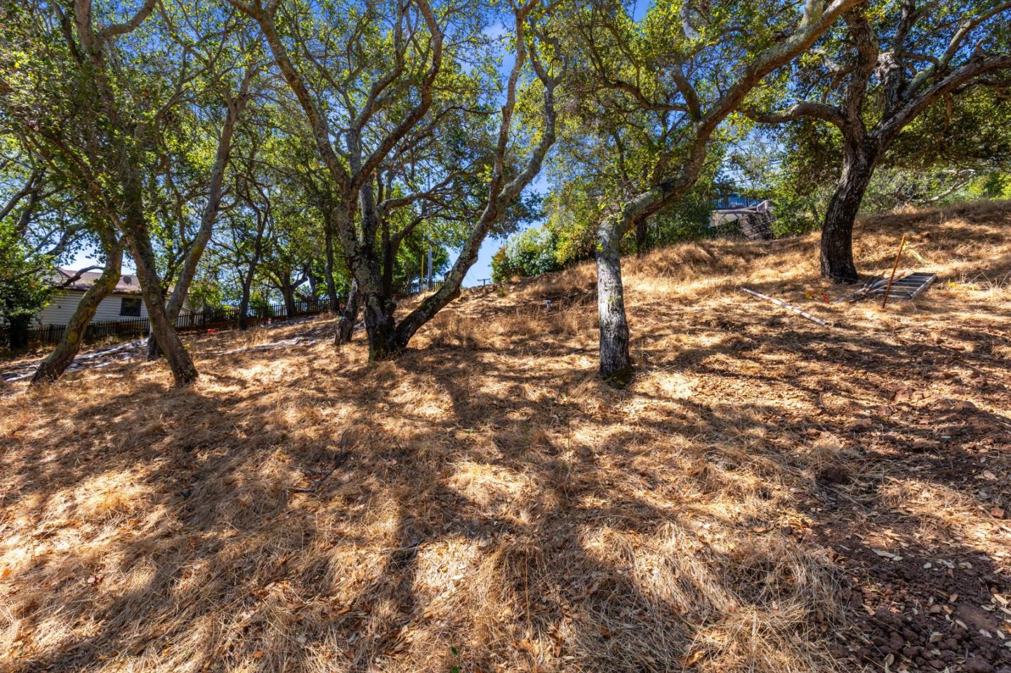 Detail Gallery Image 7 of 16 For 00 S Palomar Dr, Redwood City,  CA 94062 - – Beds | – Baths