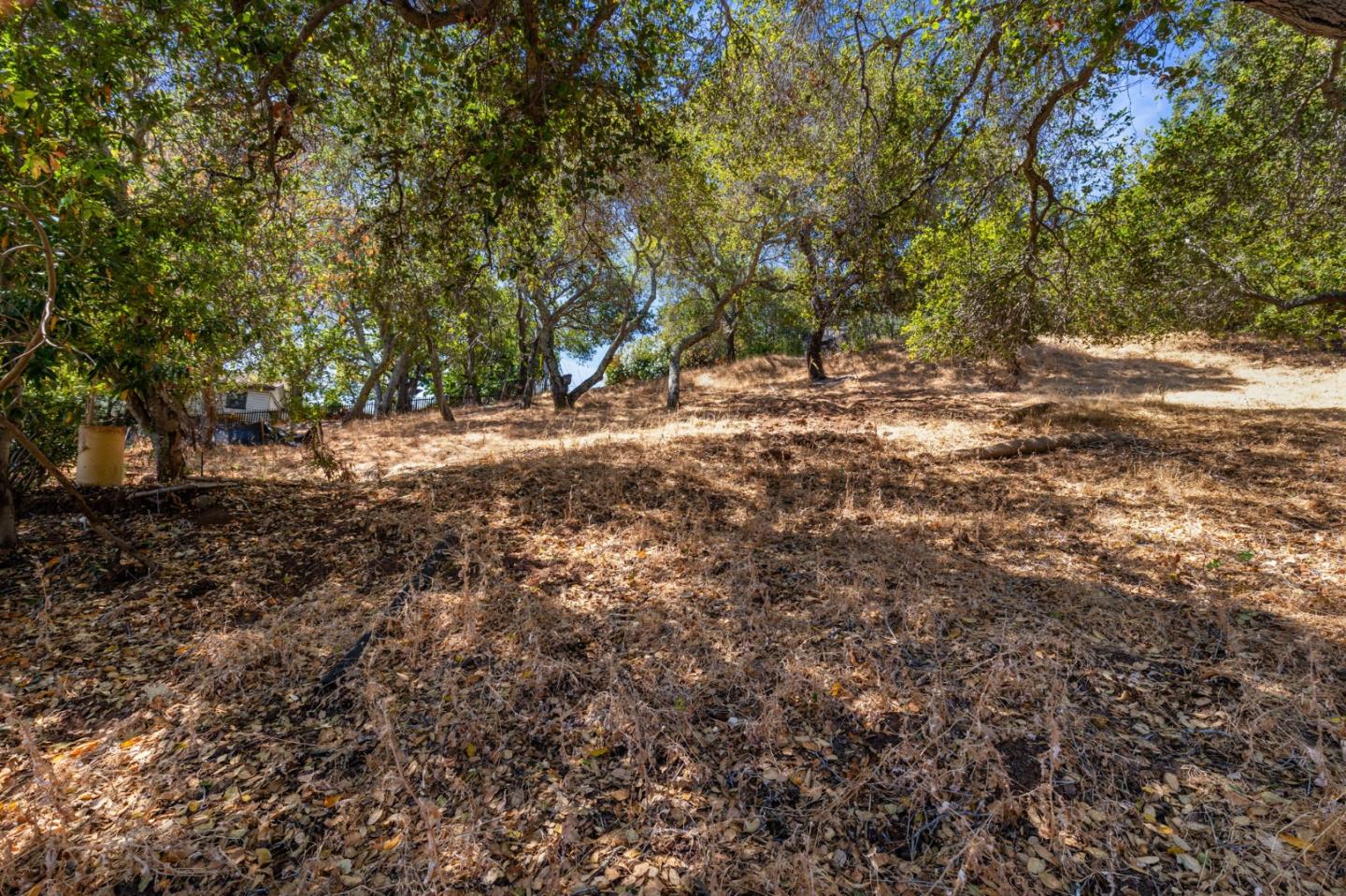 Detail Gallery Image 8 of 16 For 00 S Palomar Dr, Redwood City,  CA 94062 - – Beds | – Baths