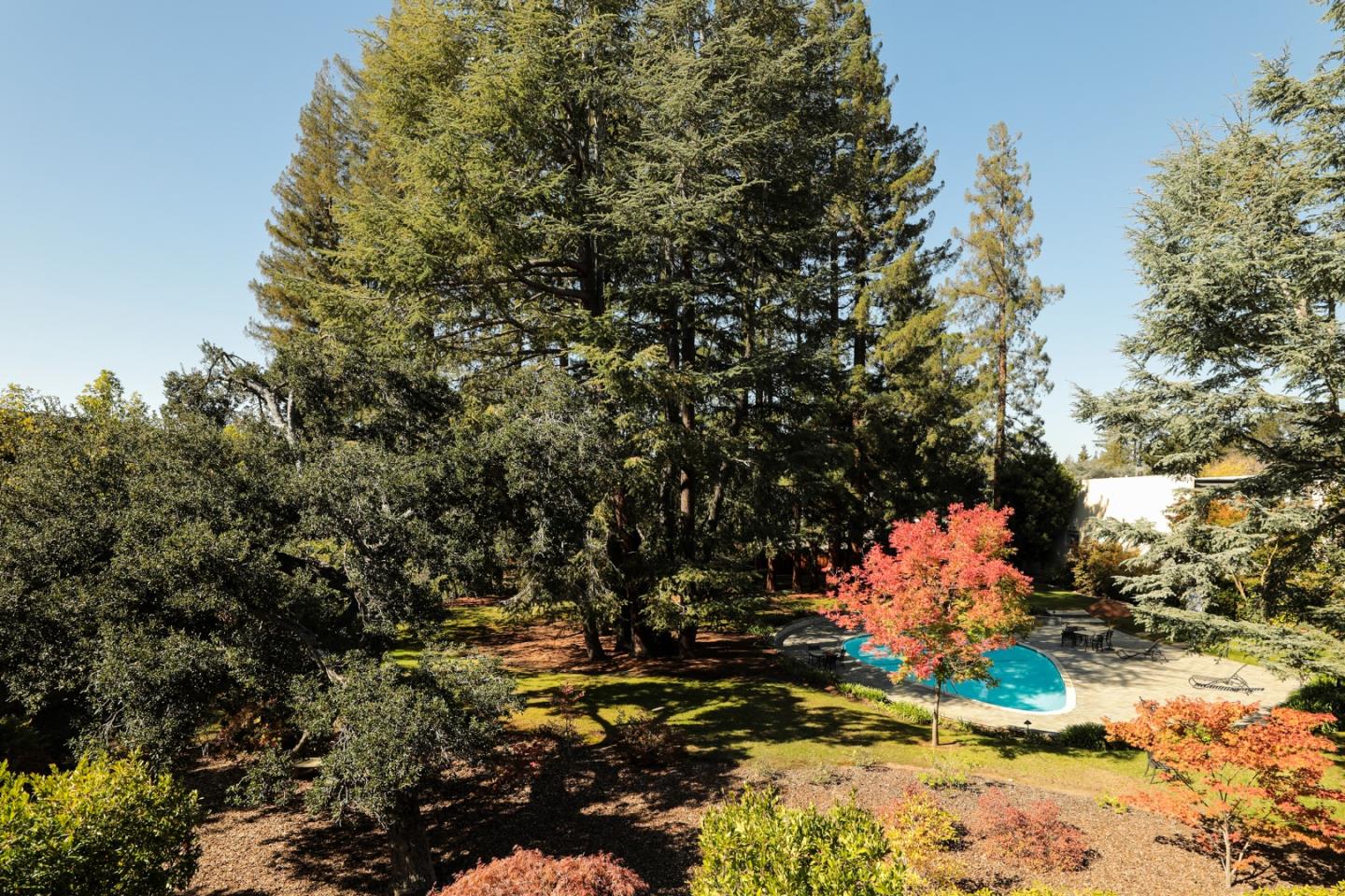 Detail Gallery Image 25 of 27 For 160 Stone Pine, Menlo Park,  CA 94025 - 3 Beds | 2/1 Baths