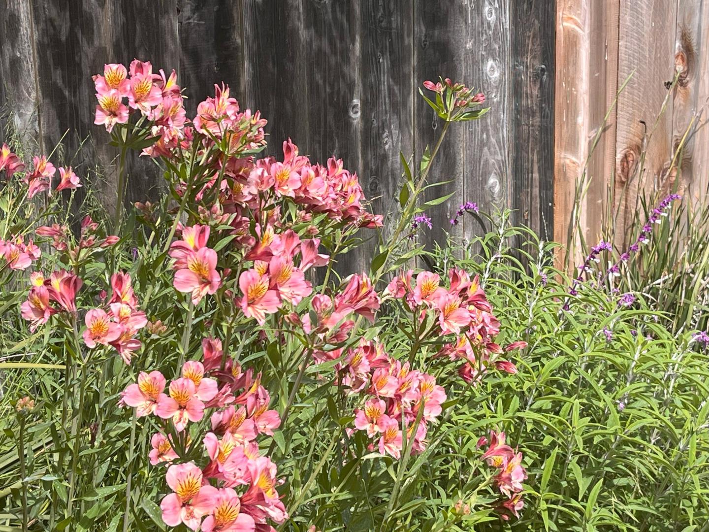 Detail Gallery Image 37 of 48 For 30 Elena Rd, La Selva Beach,  CA 95076 - 4 Beds | 2 Baths