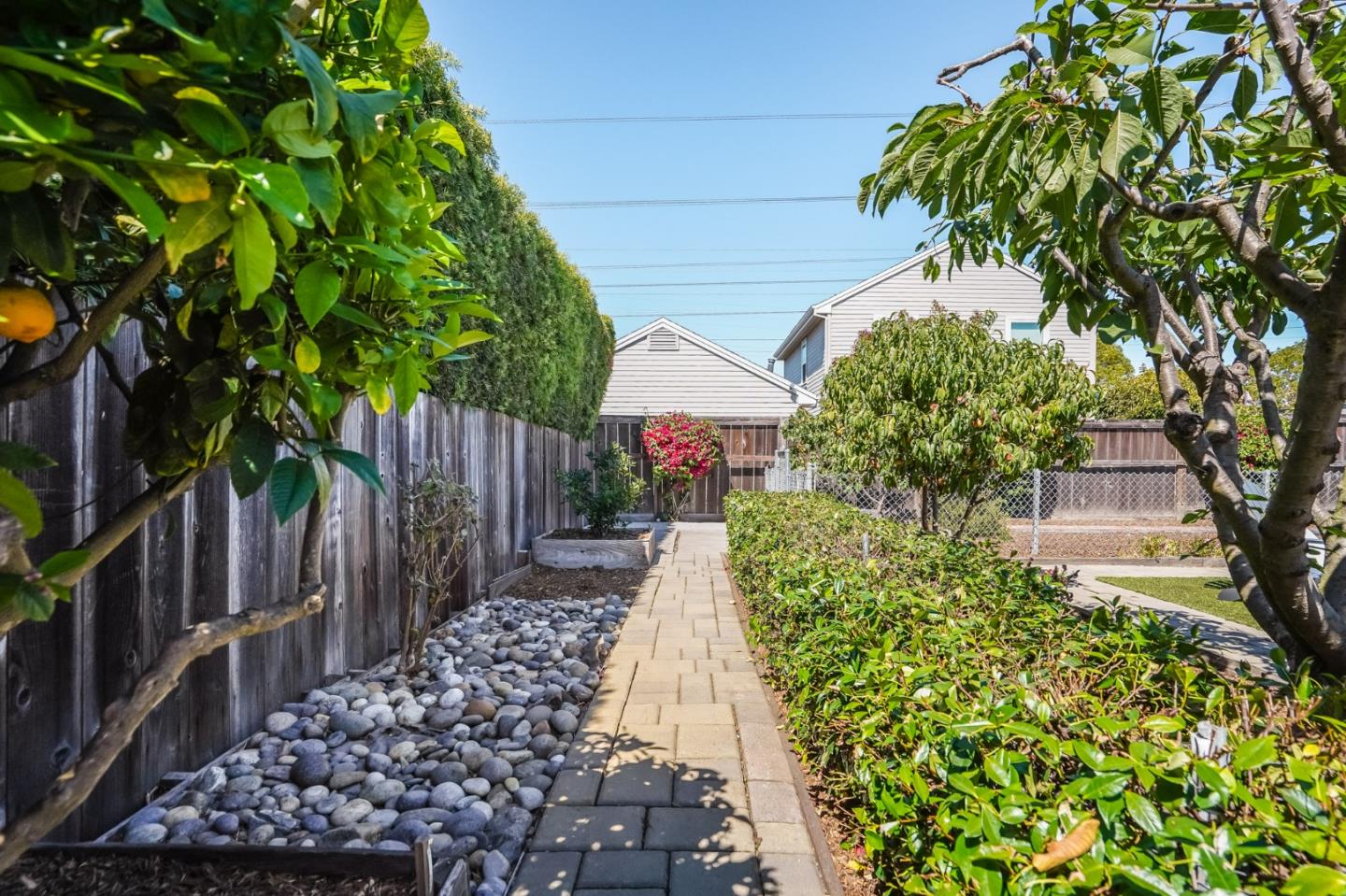 Detail Gallery Image 33 of 36 For 16 N Rochester St, San Mateo,  CA 94401 - 2 Beds | 1 Baths