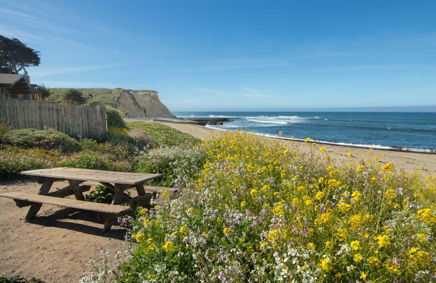 Detail Gallery Image 54 of 54 For 14 3rd Ave, Davenport,  CA 95017 - 3 Beds | 2 Baths