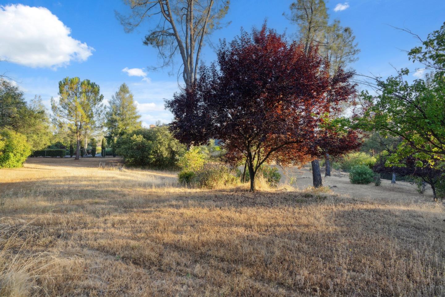 Detail Gallery Image 35 of 49 For 13289 Moccasin Ln, Shasta Lake,  CA 96019 - 3 Beds | 3 Baths